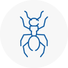 Ant Removals In Southwark