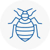 Bed Bug Extermination In Southwark