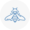 Bee Nest Removal Southwark