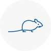 Mice Exterminators In Southwark