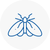 Moth Control Specialists In Southwark