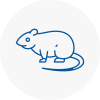 Rat Control Southwark