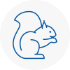 Southwark Rodent Removals