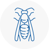 Southwark Wasp Nest Removal